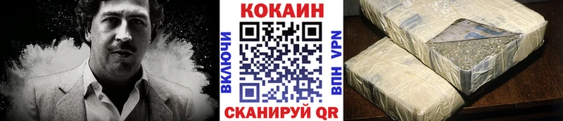 COCAIN Fish Scale дарнет шоп Камышлов