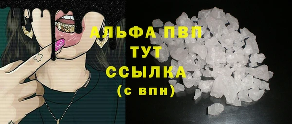 прущие грибы Верхний Тагил