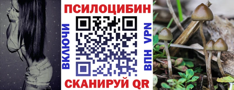 Псилоцибиновые грибы Cubensis дарк нет состав Камышлов цены